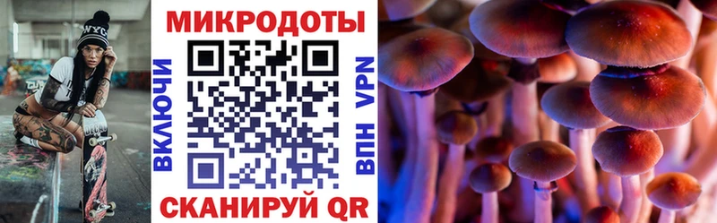 Псилоцибиновые грибы Psilocybine cubensis  Купить где  Струнино 