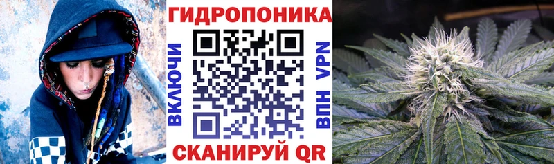 Бошки марихуана Amnesia  Купить где  Струнино 